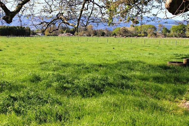 30 Kimberley Road Levin_14