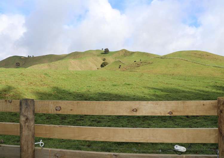 259 Elgood Road Ngaruawahia_4