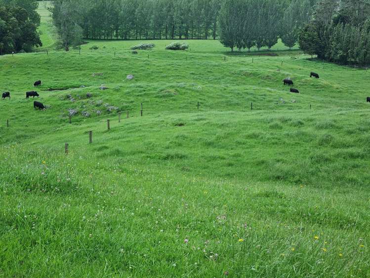 267 Ludbrook Road Pakaraka_9