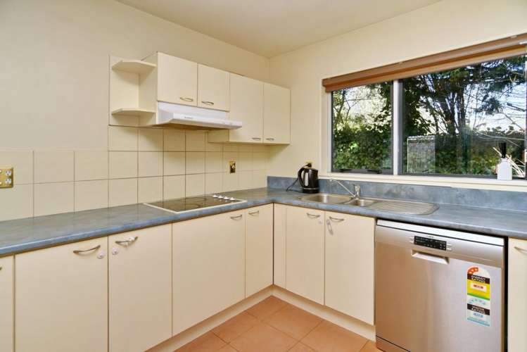 10 Riegler Place Belfast_11