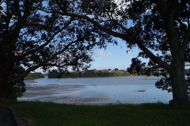 31 Cleary Road Panmure_11