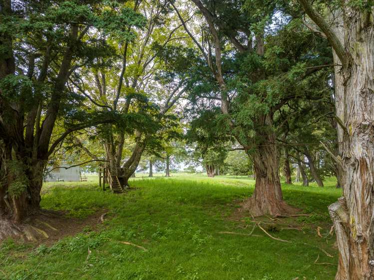 1714a Orini Road Orini_28