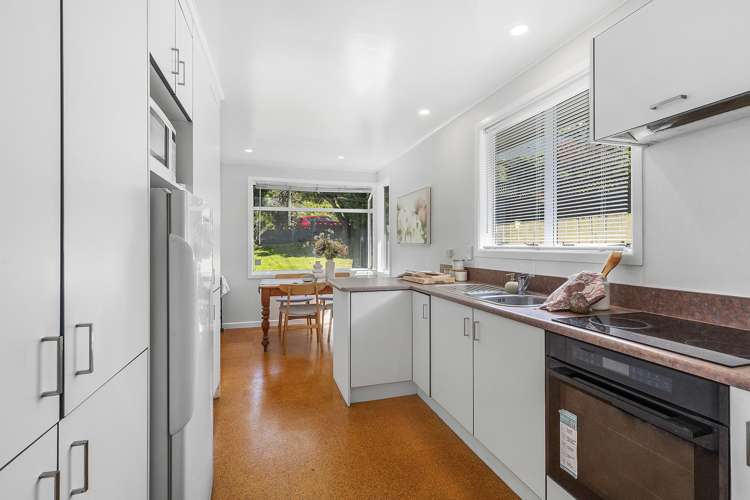 58 Miramar North Road Miramar_7