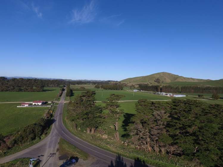 1125 Kakariki Road Eketahuna_9