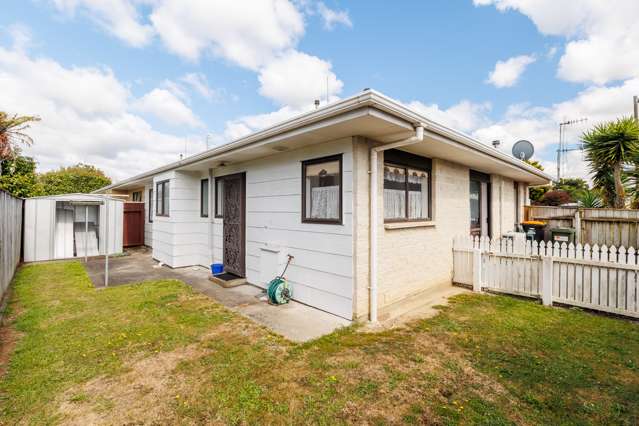 334b Featherston Street Palmerston North Central_1