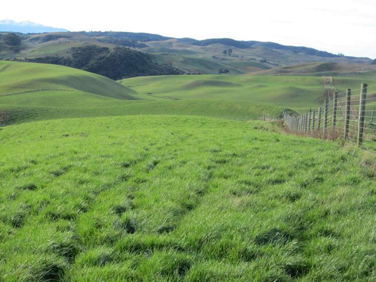 25 Keenan Road Tuatapere_27