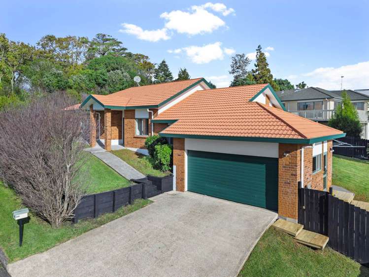 27 Carling Avenue Massey_1