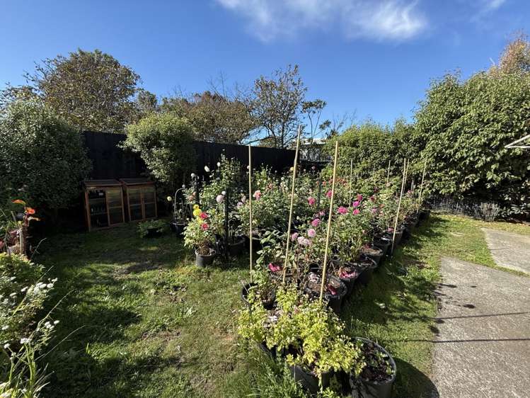 297 Pine Avenue South New Brighton_13