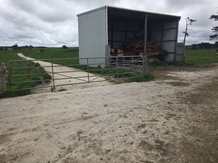 1703 Eltham Road Riverlea_10