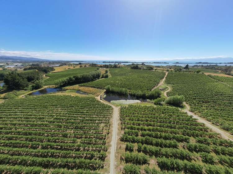 5 Lindup Road Lower Moutere_17