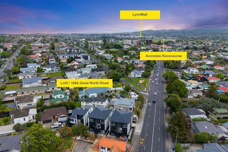 1664E & F Great North Road Avondale_23