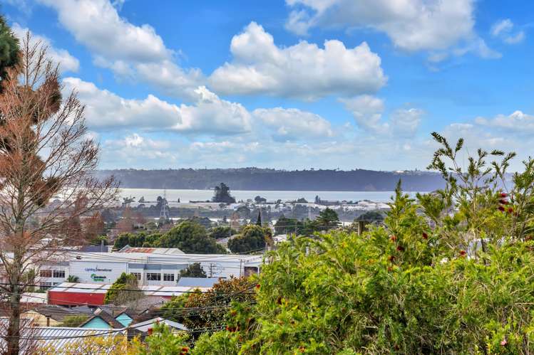 52 West Coast Road Glen Eden_19