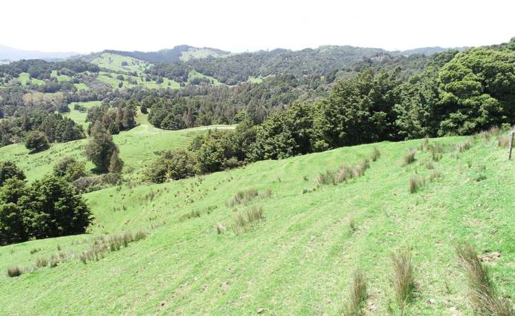 Irvine Road Ruatangata_6