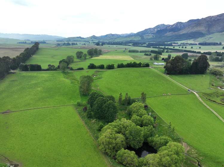 1148 Blackmount Redcliff Road Whare Creek_5