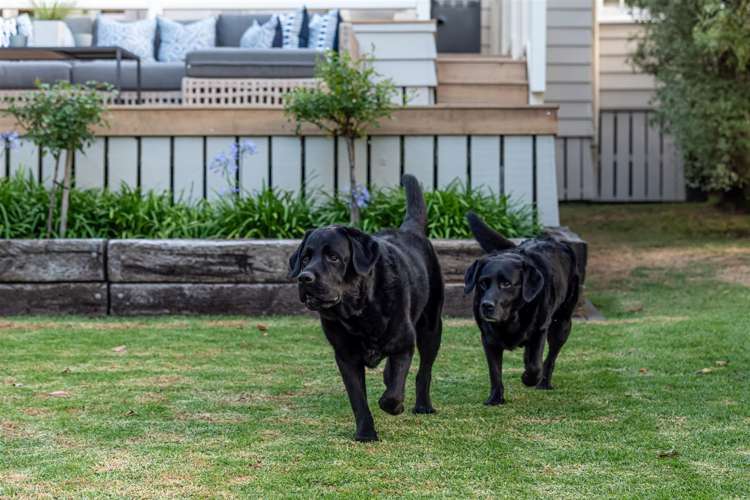 79 Hinemoa Street Birkenhead_8