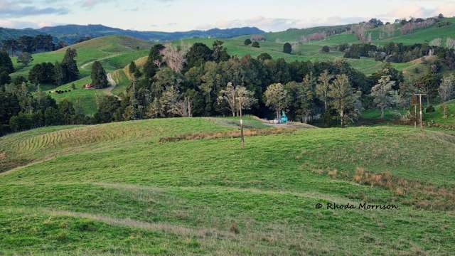 241 Golden Stairs Rd Maungaturoto_1