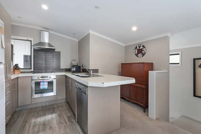 56d Willoughby Street Whitiora_2