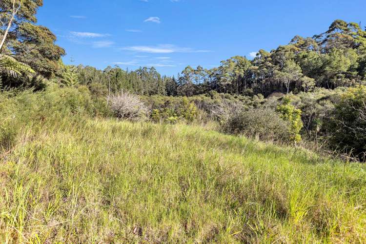 280 Taylor Road Taipa_26