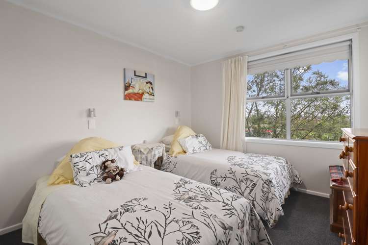 15 Wilson Street Te Aroha_7