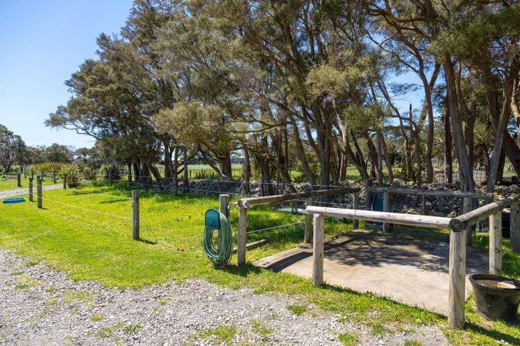 364 Wiltons Road West Taratahi_35