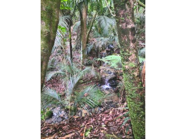 1349A State Highway 10 Kerikeri_23
