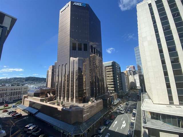 166 Featherston Street Wellington_1