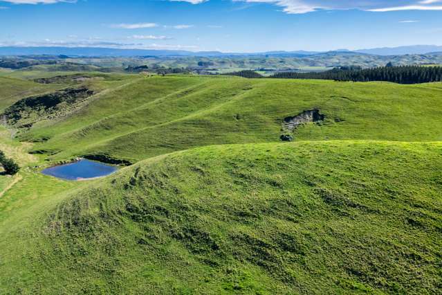 201 Breckenridge Road Puketapu_4