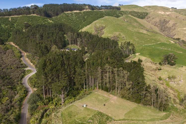 58 Greens Road Linton_14