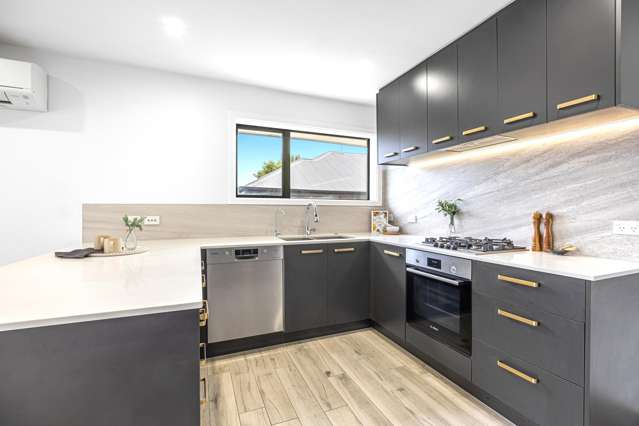 11 Maryhill Avenue Hoon Hay_3