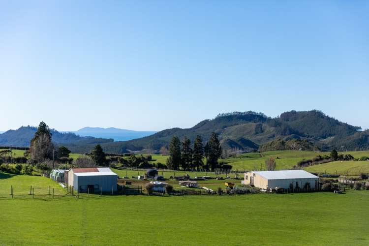 744 Woodlands Road Waihi_5
