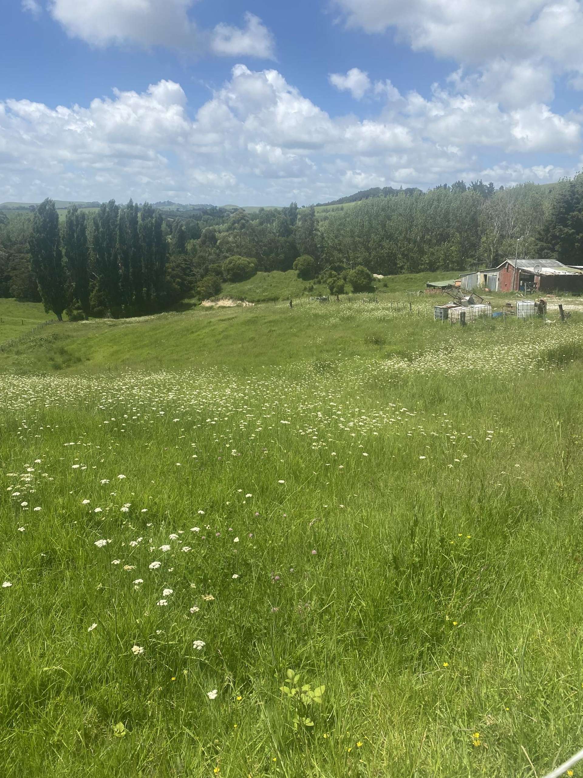 9 Petley Road Paparoa_0