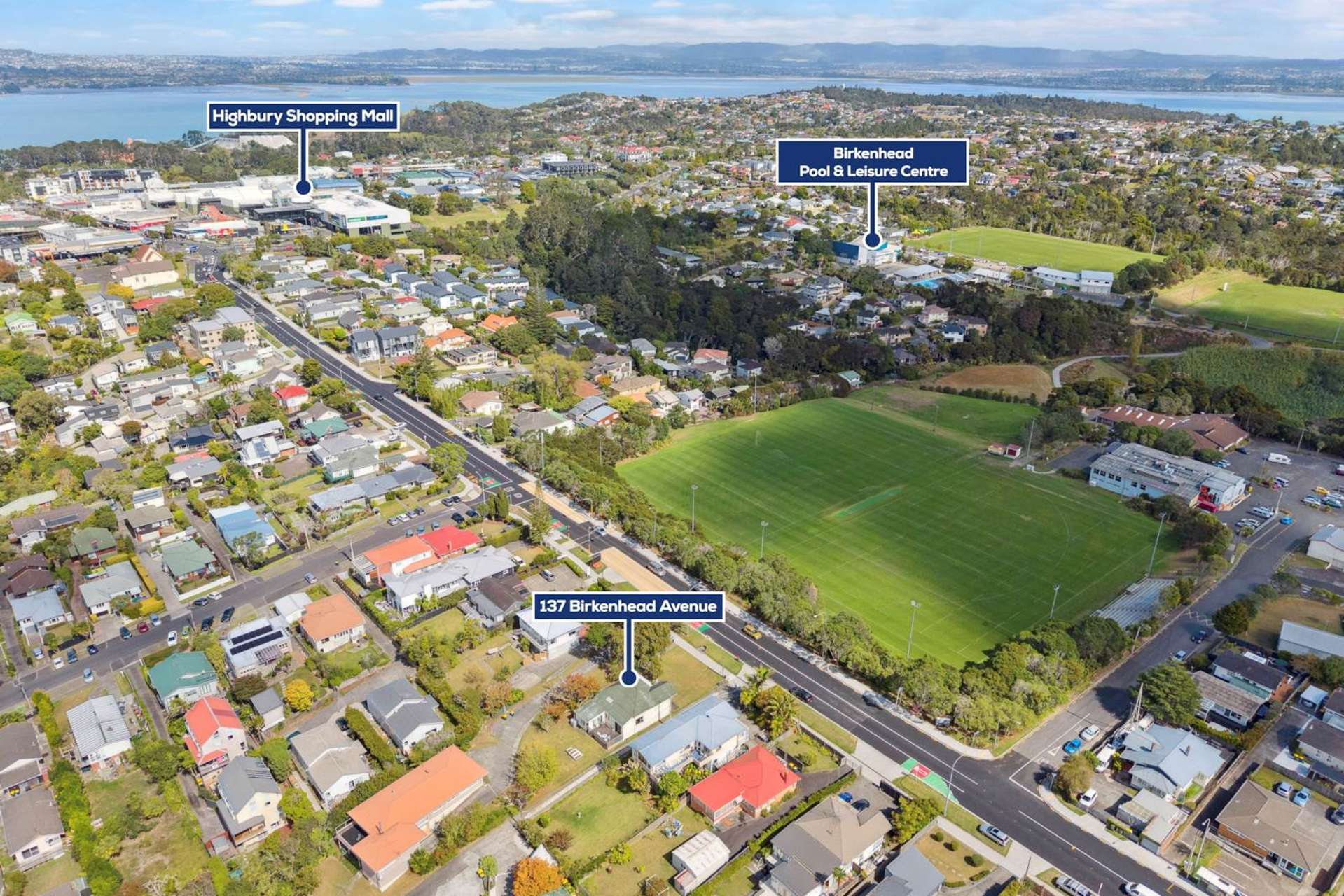137 Birkenhead Avenue Birkenhead_0
