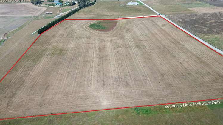 62D Springfield Road Totara_8