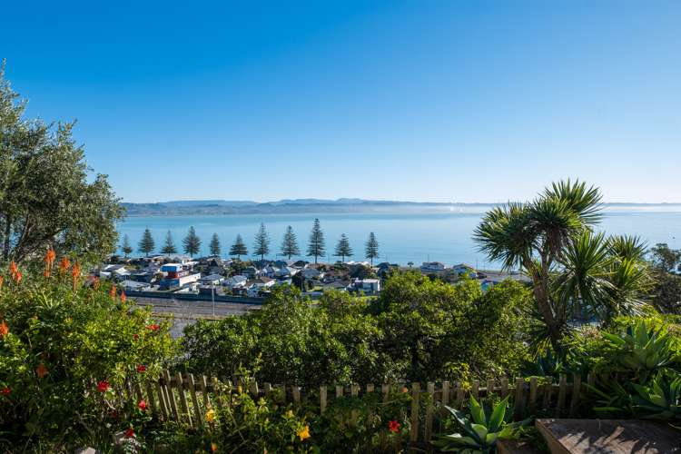 42 Roslyn Road Bluff Hill_15