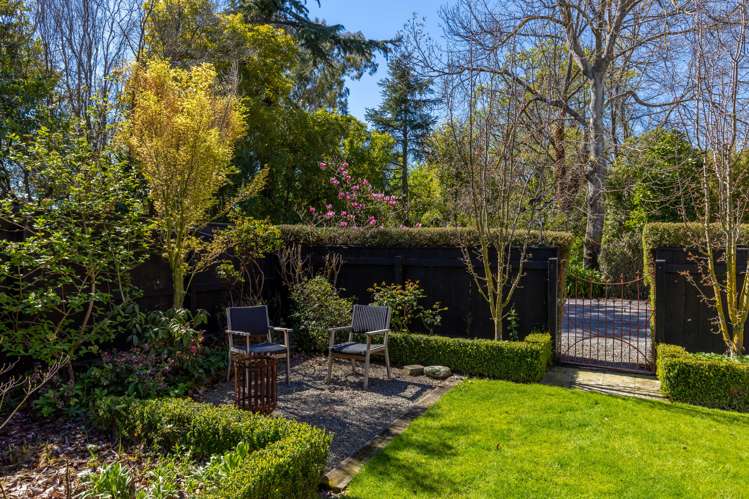 34 Brook Street Springlands_8