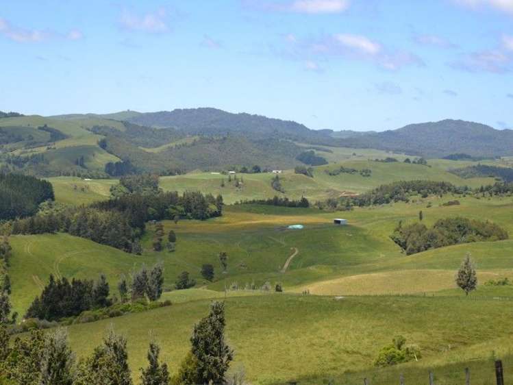 184 Grice Road Wharepuhunga_6