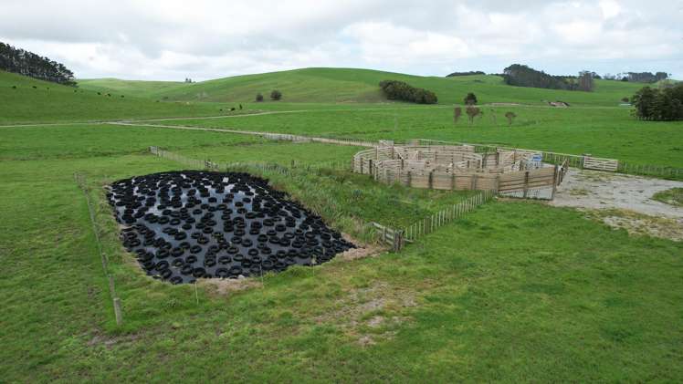 1108 Tokatoka Road Ruawai_12