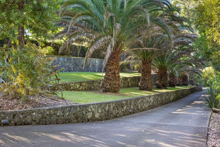 190 Lonely Track Road Dairy Flat_24