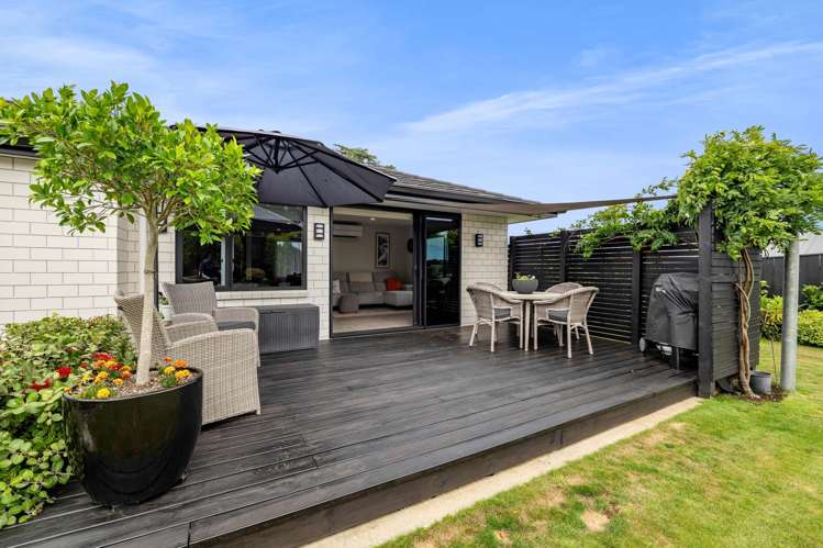 397A Tukapa Street Hurdon_17