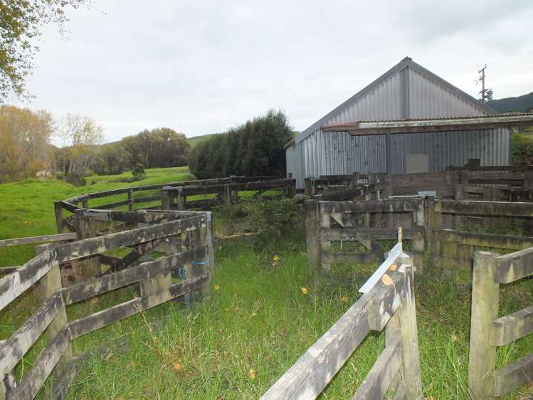 1884 Tangowahine Valley Road Dargaville Surrounds_17