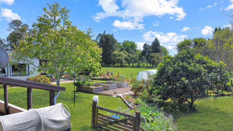 97f Poplar Lane Edgecumbe_21