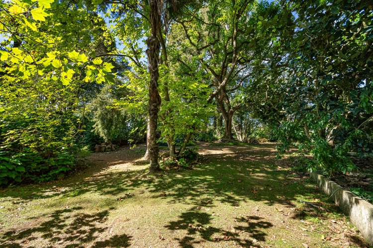 218 Springfield Road Mangapai and Surrounds_21