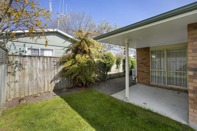 24B Reeve Street Levin_12