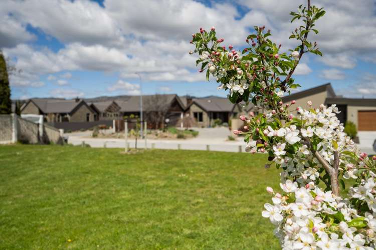 35 Larch Crescent Alexandra_3