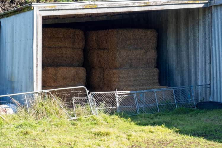 1099 Back Track Methven_6