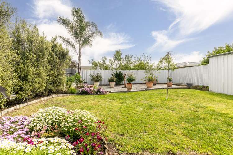 79 McGrath Street Napier South_17