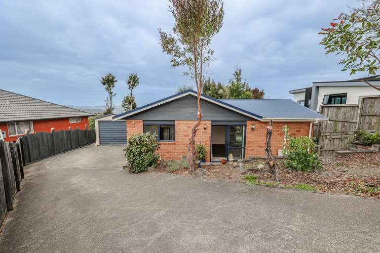 6 Raoulia Close Halfway Bush_2