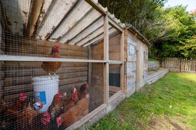 9 Maple Grove Owhata_19