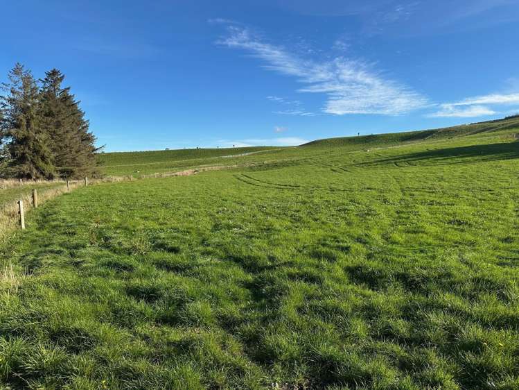 114 Bull Creek Road Glenledi_5