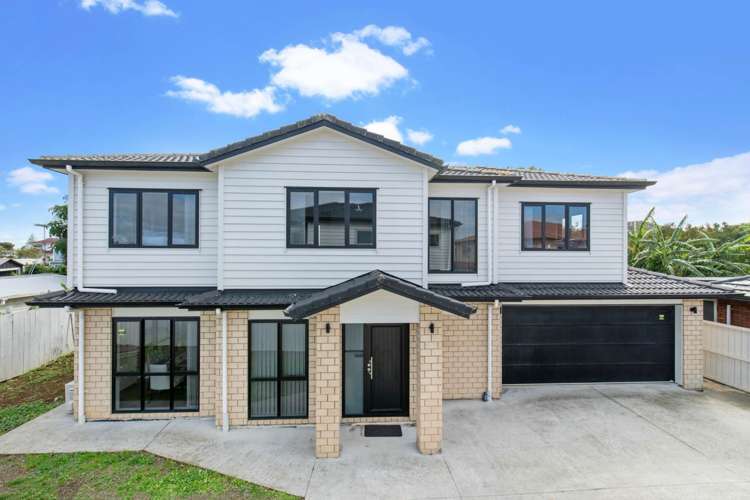 77B Puhinui Road_0